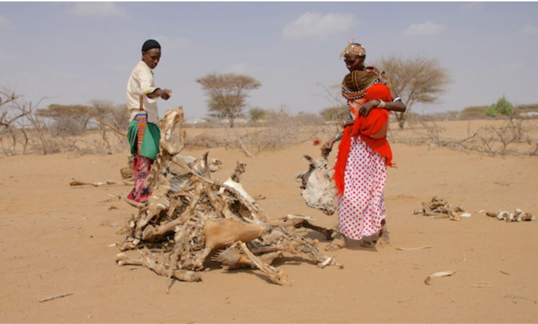 Emergencias complejas: en el árido norte de Kenia, los lugareños se enfrentan a los efectos del cambio climático, el hambre y la pobreza, Tu Mundo al dia