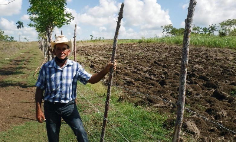 Agricultores cubanos abordan la degradación de la tierra con gestión sostenible, Tu Mundo al dia
