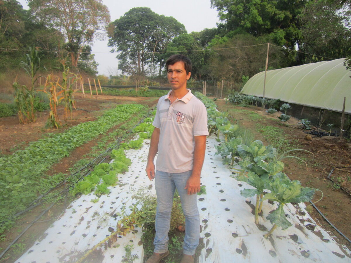 El agricultor Alison Oliveira se encuentra entre sus cultivos orgánicos en la pequeña finca que trabaja con su esposa cerca de la ciudad de Alta Floresta, en el borde de la región amazónica de Brasil.  La agricultura familiar sostenible es una barrera para la deforestación y el monocultivo de soja.  AMIGOS: Mario Osava / 