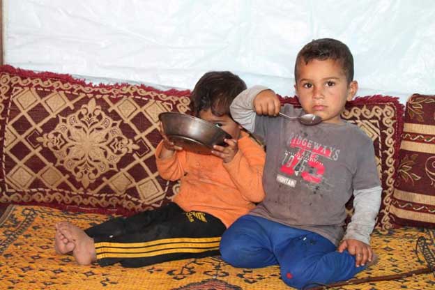 Desastre de la crisis alimentaria de Oriente Medio, Tu Mundo al dia