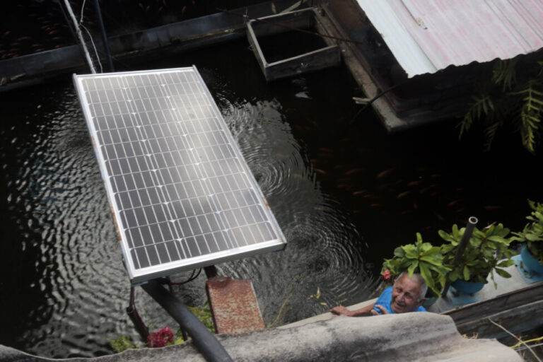 Félix Morffi también utiliza la energía solar para la acuicultura en su casa del municipio de La Habana: un panel fotovoltaico alimenta una bomba hidráulica solar que mantiene el agua fluyendo en el estanque para criar variedades de peces ornamentales y tilapias para el consumo familiar.  AMIGOS: Jorge Luis Baños/