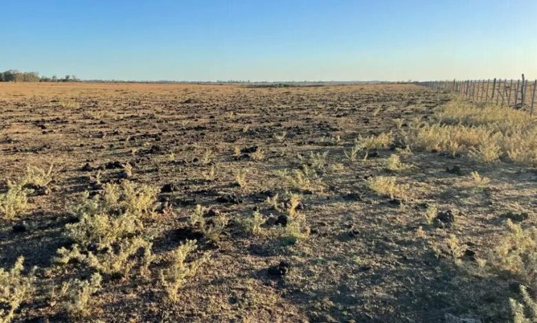 Sequía prolongada y costosa lleva la crisis climática a casa en Argentina, Tu Mundo al dia