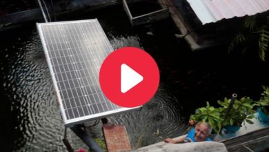Innovador cubano impulsa soluciones energéticas sostenibles &#8211; VIDEO, Tu Mundo al dia