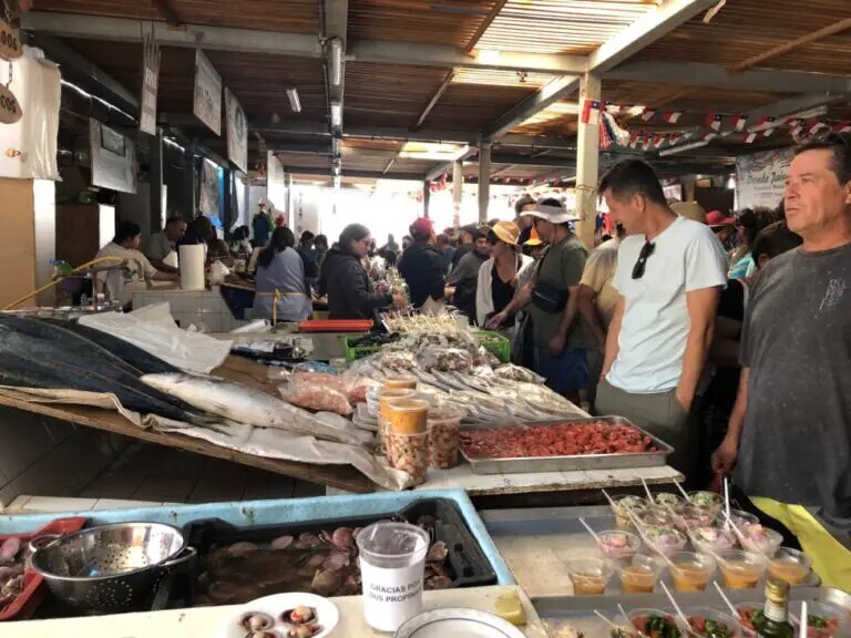 La degustación de mariscos y pescados -plato local- en la localidad comercial de Tongoy, en la región de Coquimbo, al norte de Chile, es también una oportunidad para educar a los turistas sobre el sabor y el valor nutricional de estos productos frescos del mar.  AMIGOS: Orlando Milesi/
