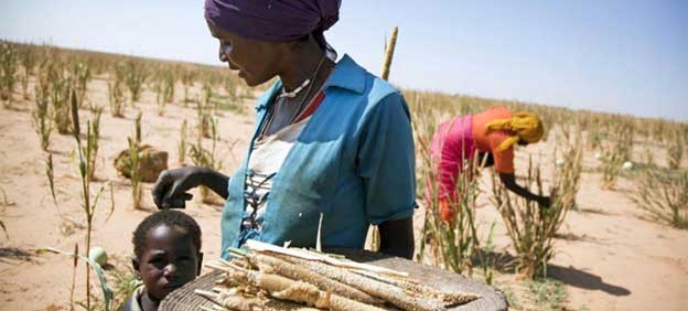 Día Internacional de la Mujer, 2023 Su tierra, sus derechos: Promoción de los objetivos de igualdad de género y reforma agraria, Tu Mundo al dia